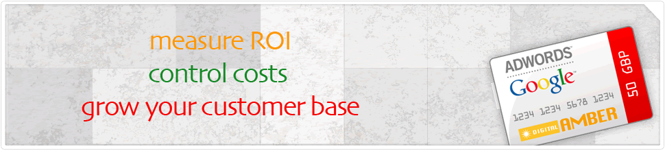 Digital Amber - Google AdWords PPC Management