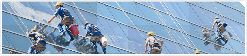 Digital Amber - Website Maintenance and Hosting